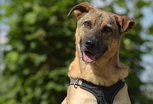 dsc_4705jpg-1 - 1 - Sven Kienscherf