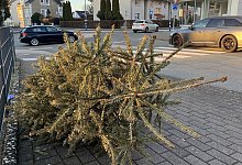 img_7072 - 1 - Jana Beckmann