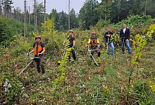 pm_aufforsten-bach - 1 - Alte Hansestadt Lemgo