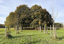 img_0127_b - 1 - Stadt Lage