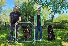 hundeverein-lieme - 1 - Katrin Kantelberg