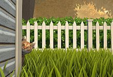 copycat_20250520235452 - Spoonful Of Wonder