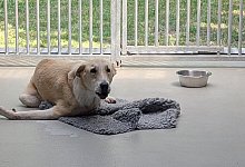 pxl_20250814_102049277 - 1 - Janina Schrader