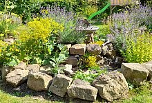 Garten Inga Thorn - 1 - Archivfoto: Inga Thorn