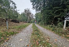 Wald- und Forstwege - 1 - Symbolfoto: Annika Langhagel