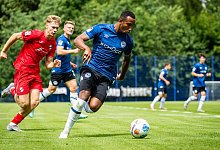 noah - 1 - Sarah Jonek