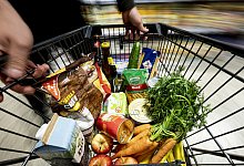 urn:newsml:dpa.com:20090101:230512-99-665629 - 1 - Fabian Sommer/dpa