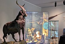 pxl_20241127_095728886mp - 1 - Stadt Lemgo