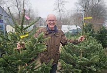 Weihnachtsbaumverkauf - Janet K&ouml;nig
