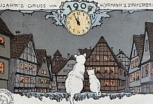 Zwei Katzen warten auf den Jahreswechsel. - 1 - 1 - Sven Kienscherf