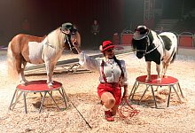 Circus Freiwald Premiere - Markus Rick