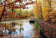 2024_1117_154918v-hinnaksteich-asem - Martin D&uuml;sterberg