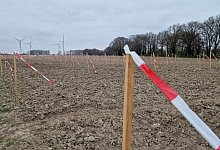 Holzpfl&ouml;cke in Lieme - Nadine Uphoff
