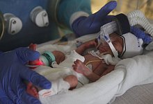 img_6922 - 1 - Archivfoto: Bernhard Preuss