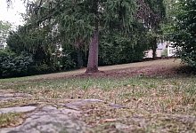 Grünfläche Südhagen - Nadine Uphoff