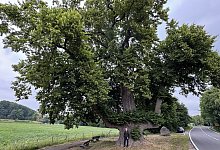 img_7171 - 1 - Sven Kienscherf