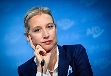 Nach der Landtagswahl in Brandenburg - AfD - Bernd von Jutrczenka/dpa