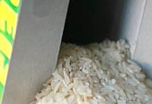 Roher Reis - Foto: Db Sebastian Raabe