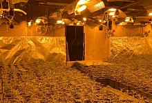 bildplantage - 1 - LKA NRW