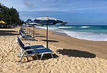 Winterflucht - Foto: Carola Frentzen/dpa-tmn