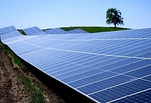 Solarpark - Sven Hoppe/dpa