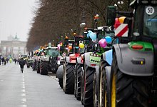 Bauernproteste - Berlin - J&ouml;rg Carstensen/dpa