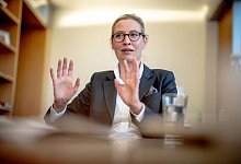 Alice Weidel - Michael Kappeler/dpa