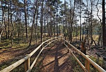 Gr&uuml;ne Infrastruktur - Hiddeser Bent - Falko Sieker