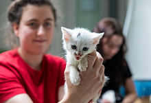 Flaschenkinder - Jannik Stodiek