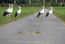 Wetter in Baden-W&uuml;rttemberg - Thomas Warnack/dpa