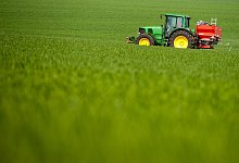 Landwirtschaft - dpa