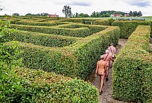 Nackt durch den Irrgarten - Jan Woitas/dpa/dpa-tmn