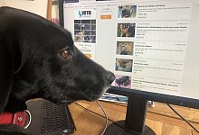 Mora - Silke Buhrmester