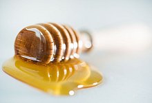 Bienenseuche: Darum sollte man leere Honiggl&auml;ser aussp&uuml;len - Franziska Gabbert/dpa-tmn