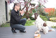 DT Ausbildung zu einem Schulhund - Cordula Gr&ouml;ne