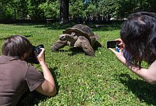 Sch&ouml;ne Tierfotos - Foto: Monika Skolimowska