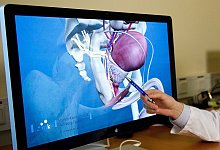 Prostatakrebs-Vorsorge - Axel Heimken/dpa/dpa-tmn