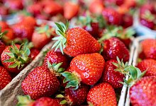 Erdbeeren werden zum Verkauf angeboten - Armin Weigel/dpa/dpa-tmn