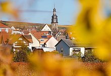 Kallstadt - Uwe Anspach/dpa/dpa-tmn