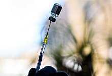 Impfstoff - Foto: Klaus-Dietmar Gabbert/dpa-Zentralbild/dpa