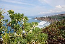 Teneriffa - Foto: Manuel Meyer/dpa-tmn