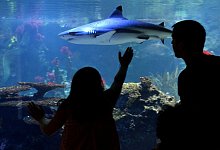 Fotografieren mit Gegenlicht - Foto: Franziska Gabbert