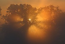 Morgens in Brandenburg - Patrick Pleul/dpa