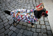 Hund mit Kost&uuml;m an Karneval - Foto: Rolf Vennenbernd/dpa/dpa-tmn