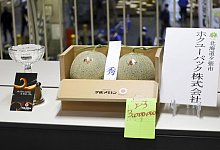 Yubari-Melonen - Foto: --/kyodo/dpa