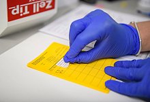 Impfpass - Foto: Christopher Neundorf/dpa