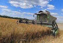 Ein Landwirt erntet mit einem M&auml;hdrescher Raps, der in der Biosprit-Produktion gebraucht wird. - Patrick Pleul/dpa-Zentralbild/dpa