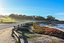 17-Miles-Drive - Pebble Beach Company/dpa-tmn