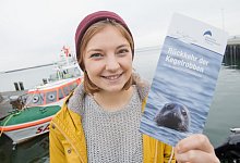 Kegelrobben erobern K&uuml;stengew&auml;sser zur&uuml;ck - Foto: Stefan Sauer/dpa