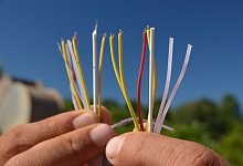 Breitbandausbau: - Mareike Patock